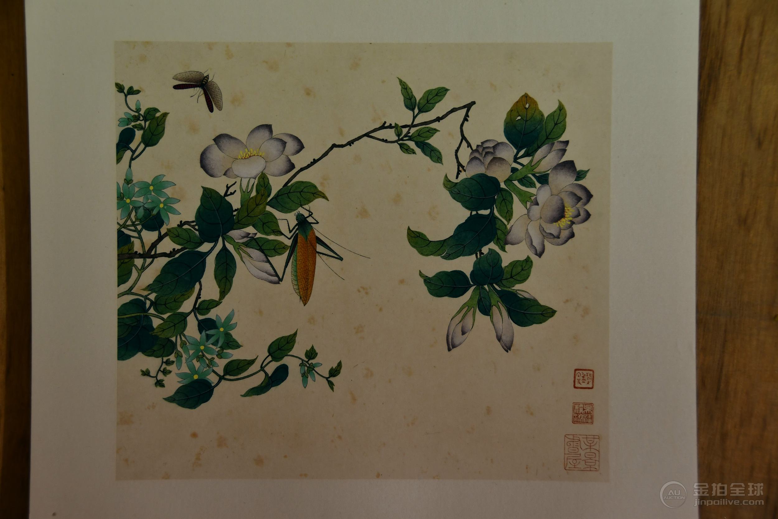 潘静淑 花鸟册页 图片9